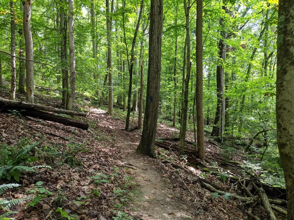 Mid County Park