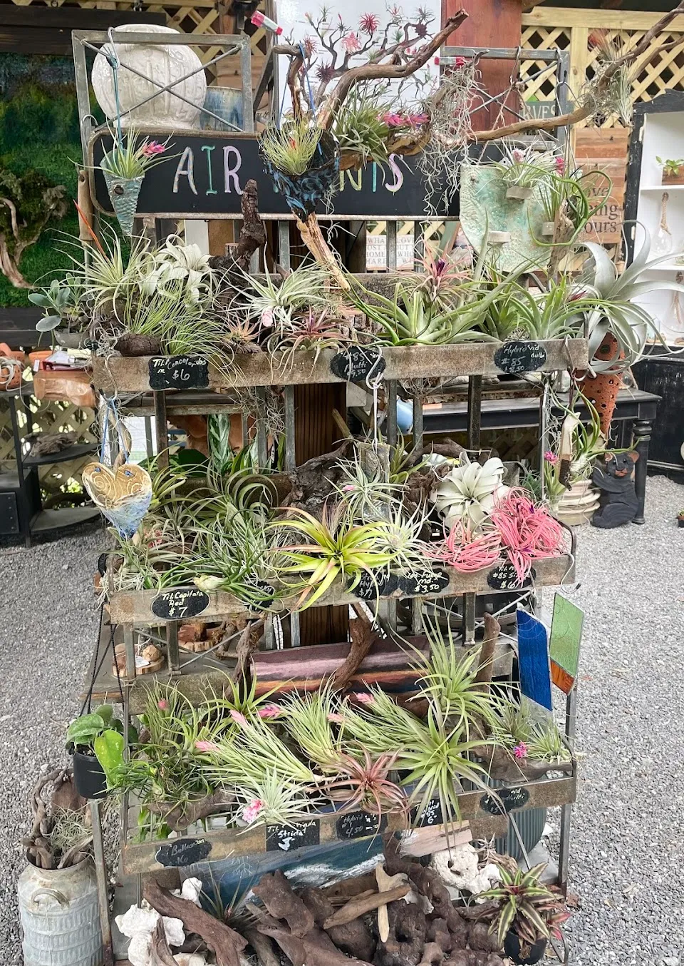 Harvest Moon - Antiques, Garden & Art