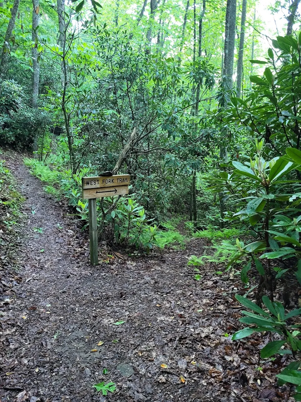 Bartram Trail - Trailhead State Line