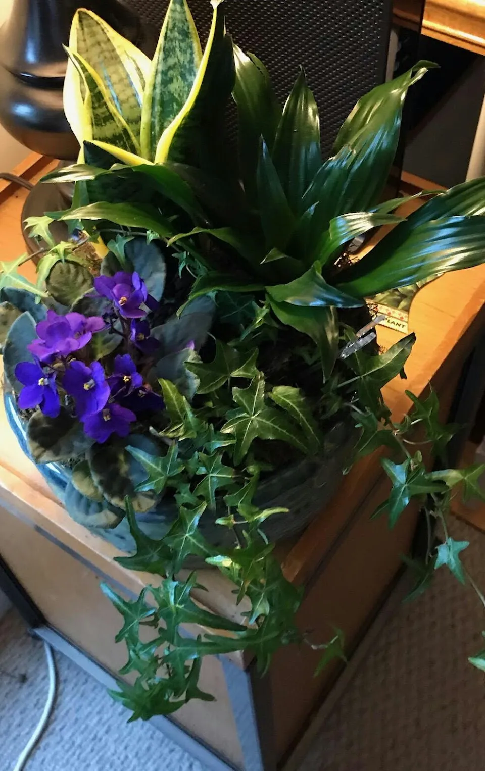 Phoebe's Floristry
