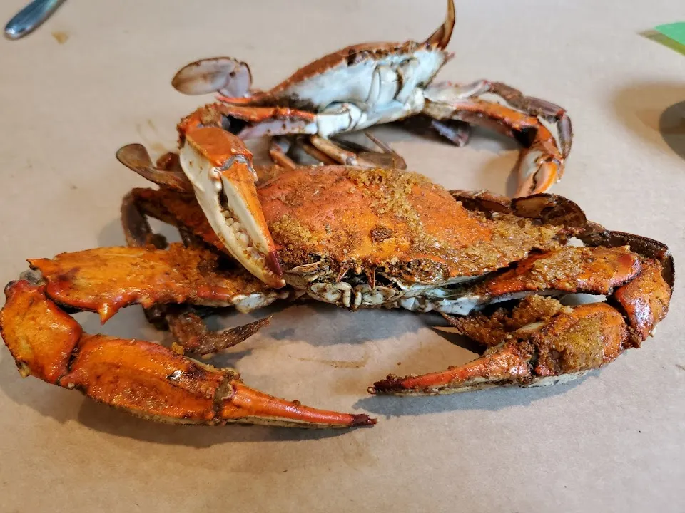 Cole's Seafood House & Deli