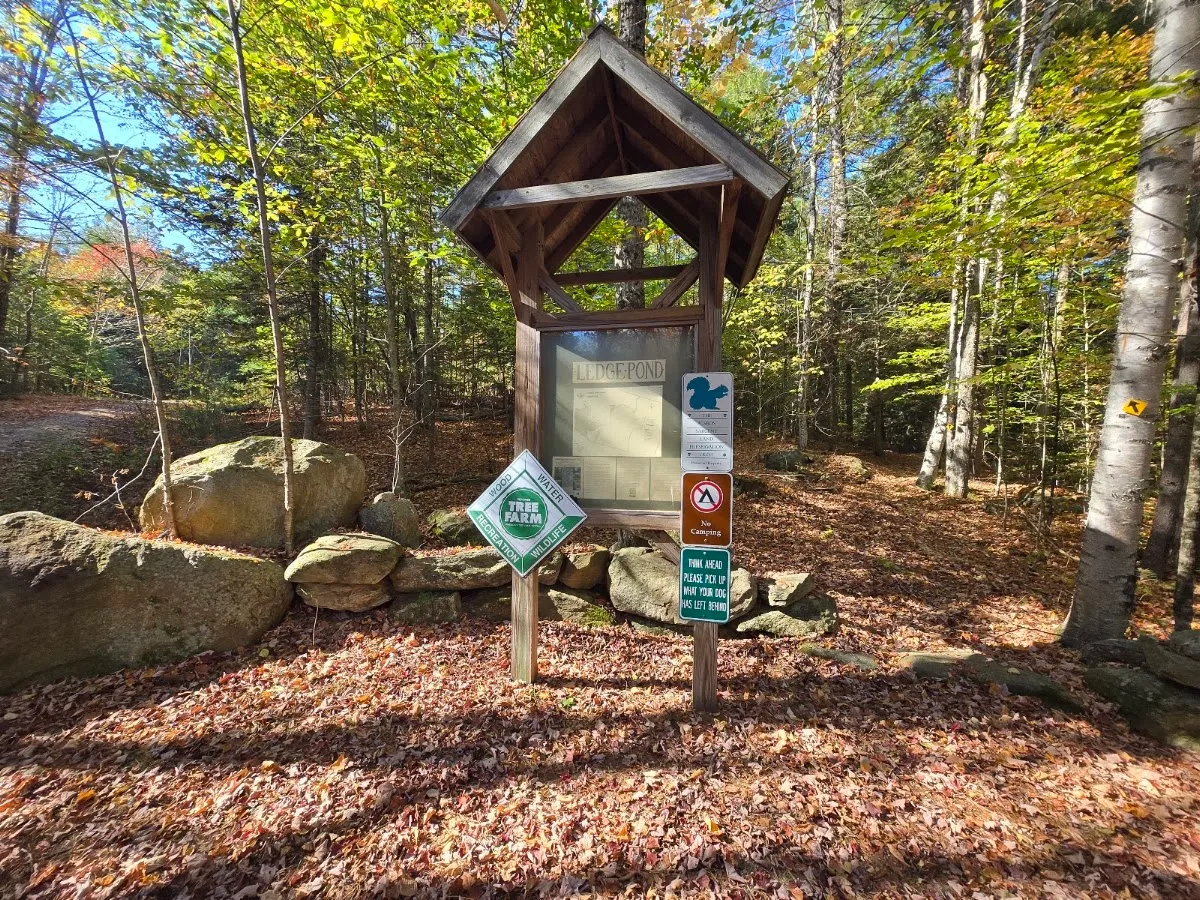 Ledge Pond Trail