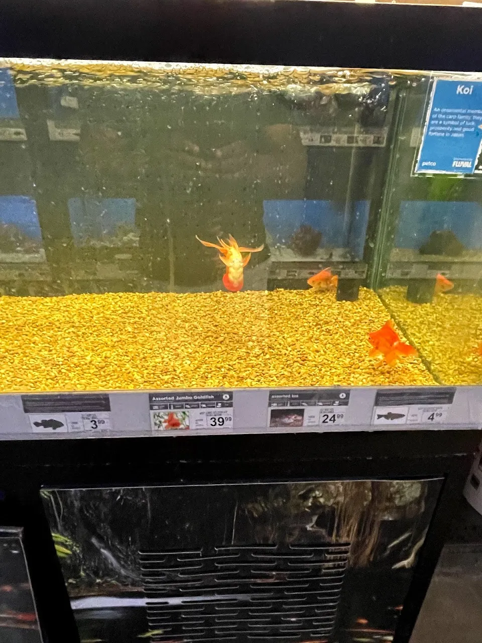 Petco