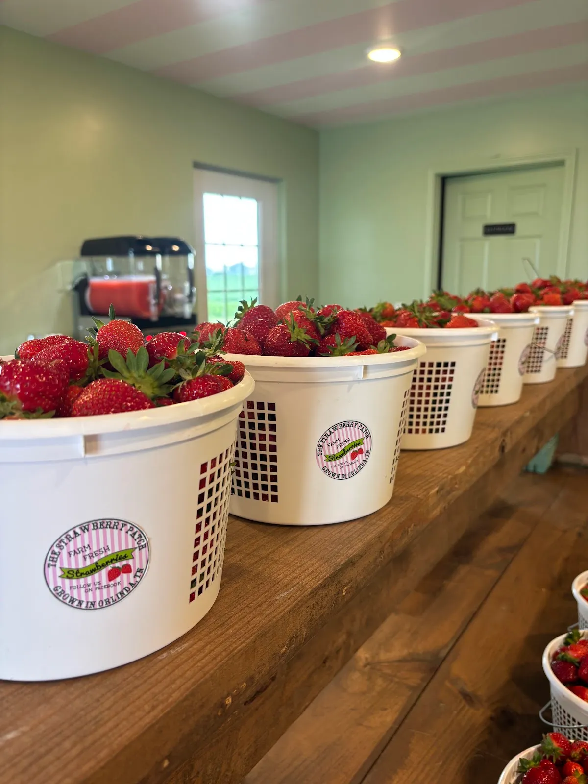 The Strawberry Patch