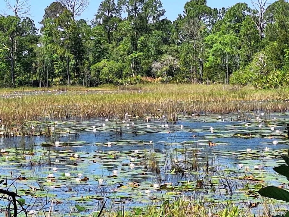 D Ranch Preserve