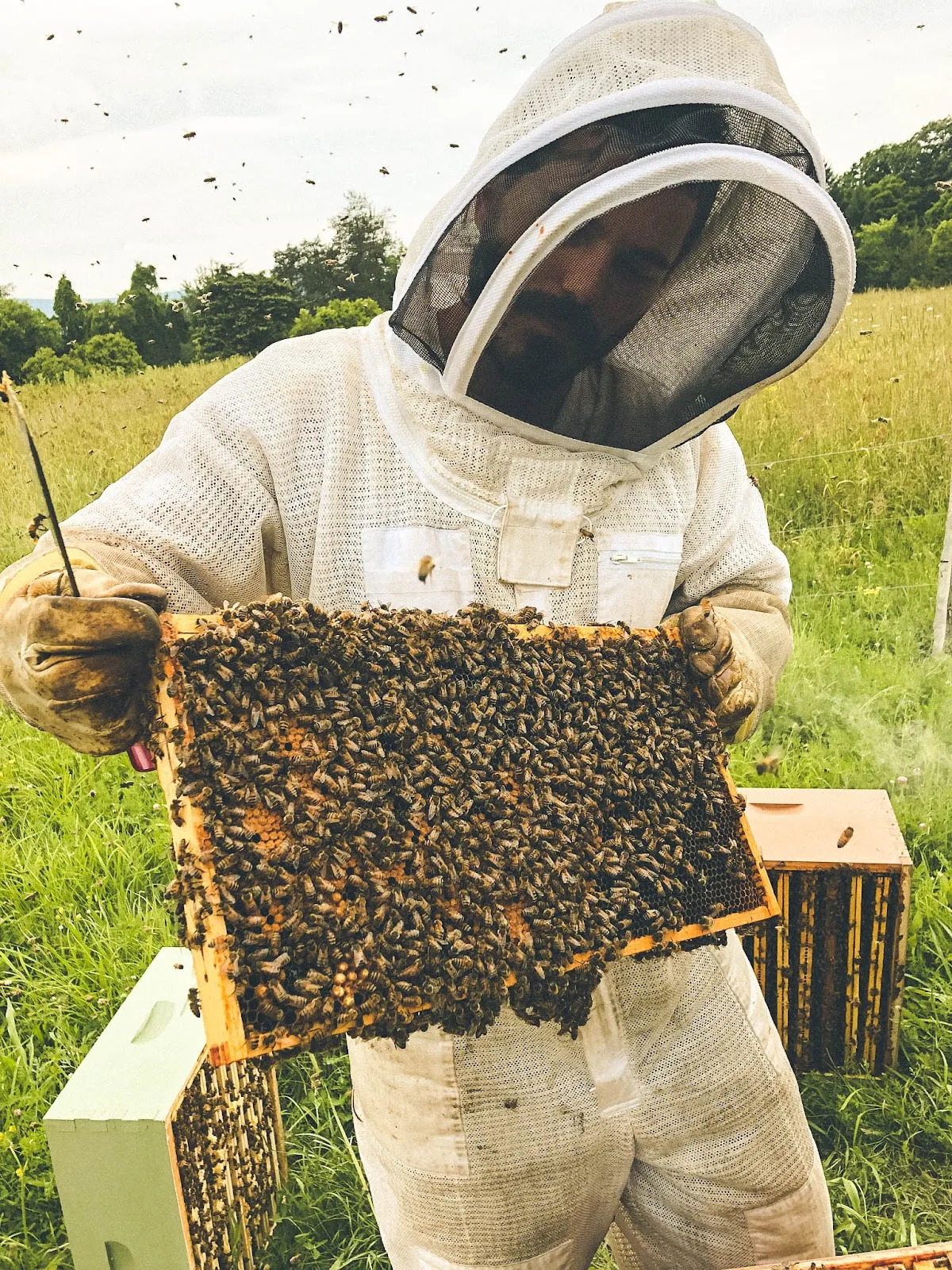 Hop House Farm