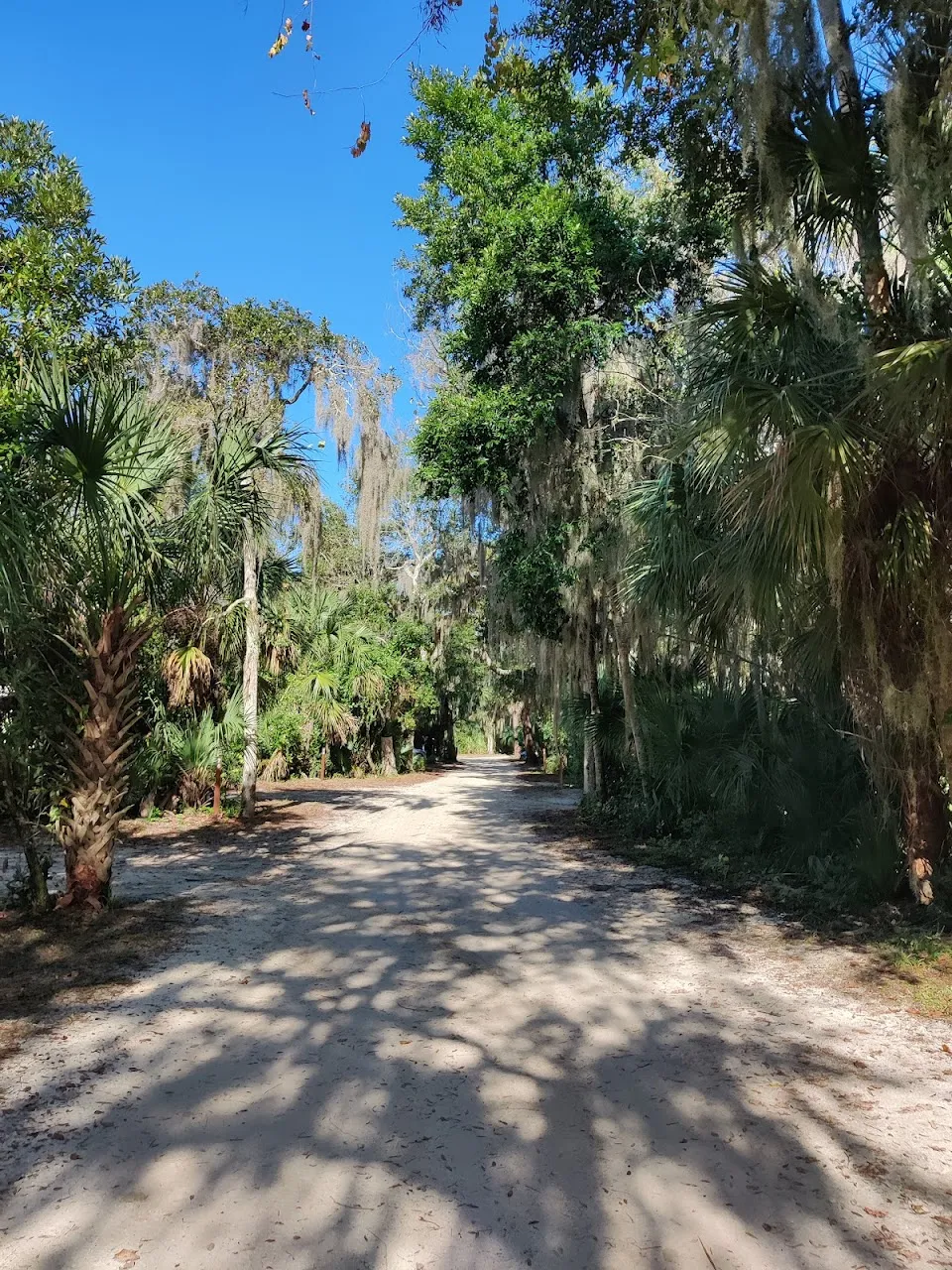 Tomoka State Park