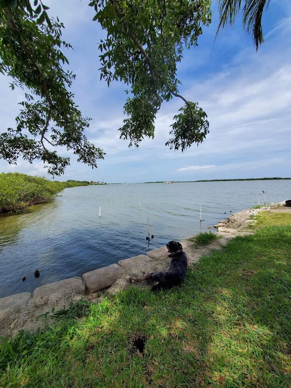 Oak Hill Fish Camp