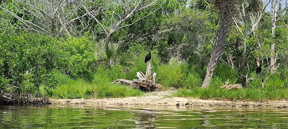 RiverWitch Kayak Rentals & Tours