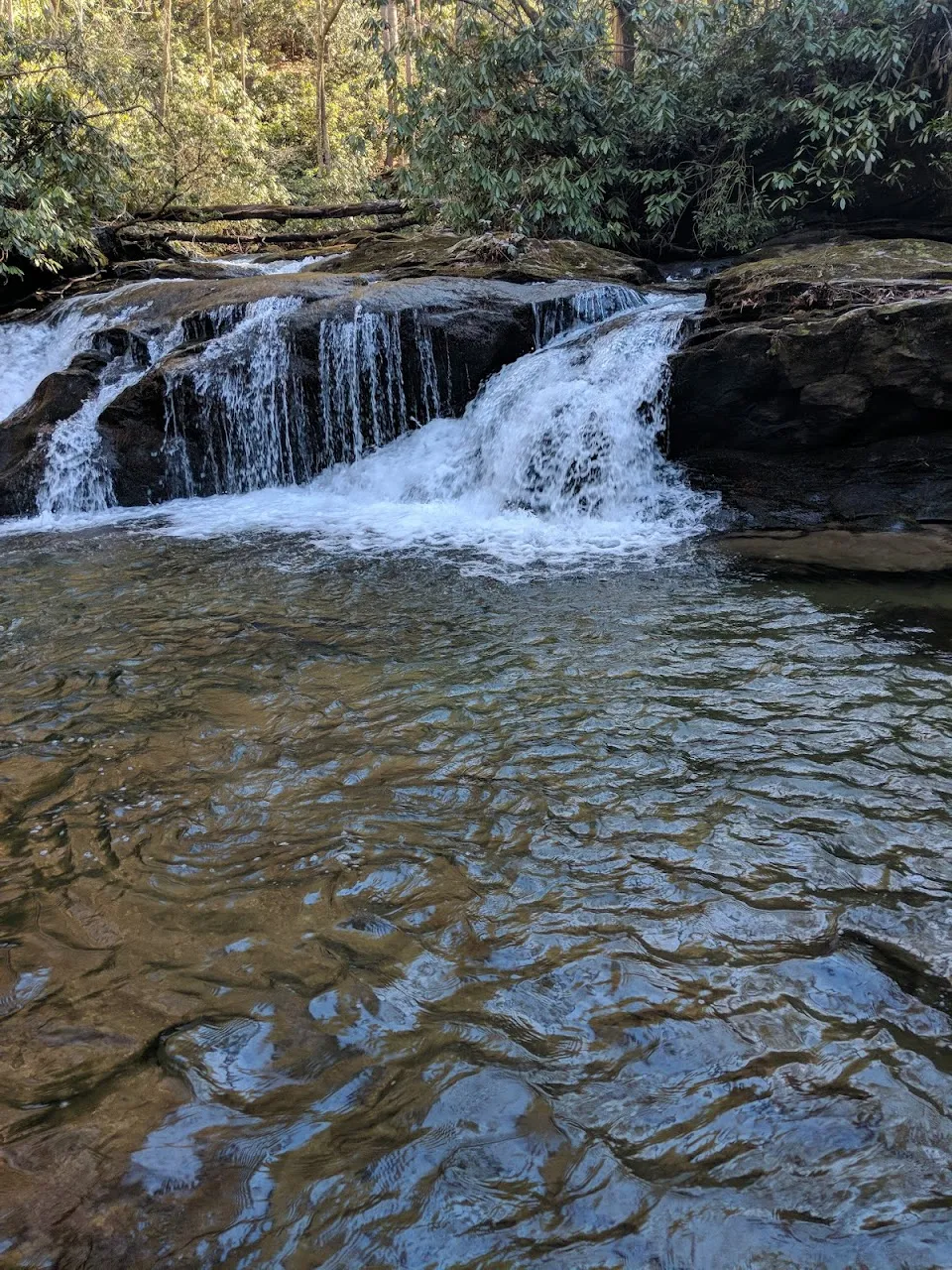 Upper Darnell Creek Falls
