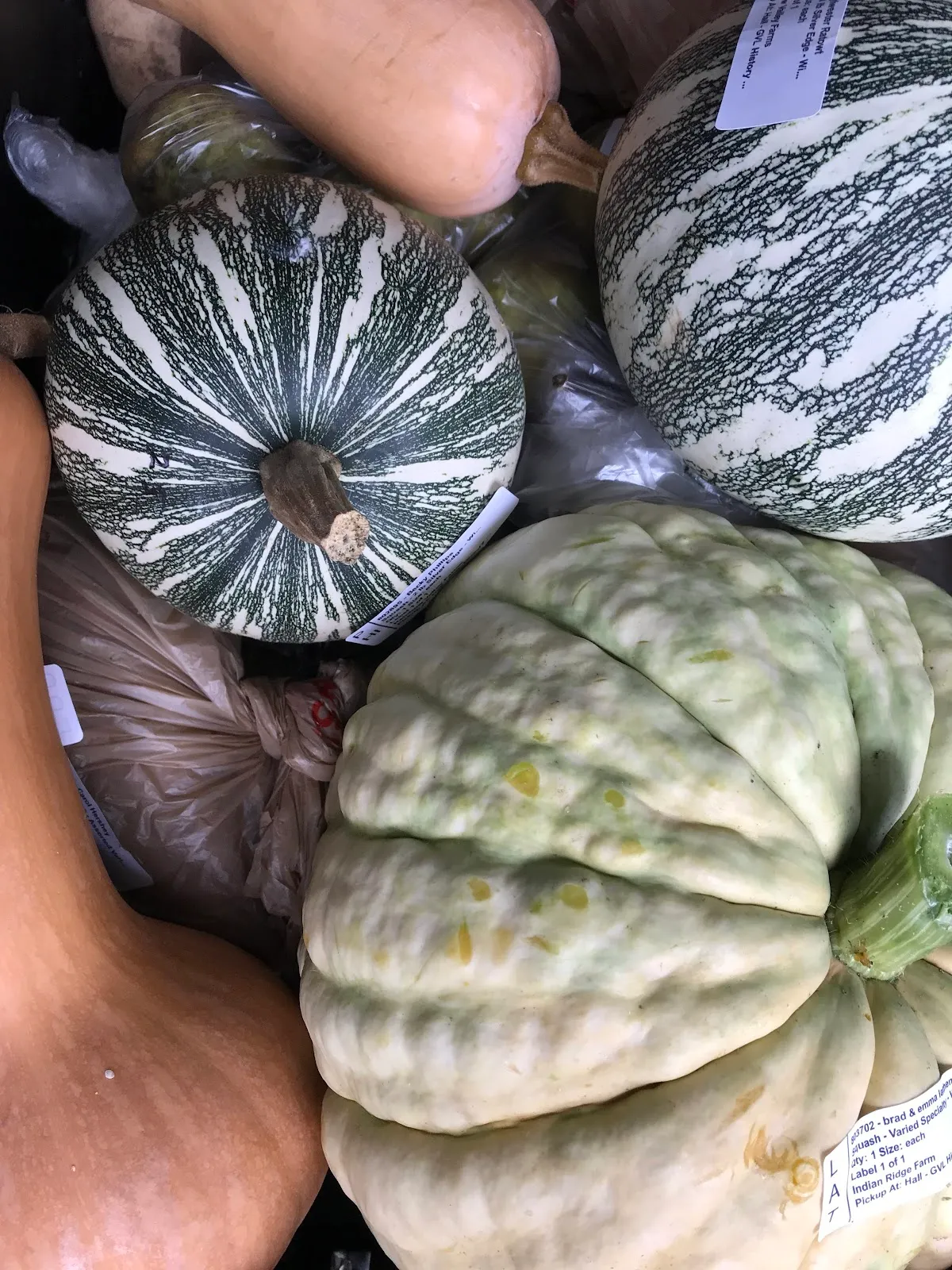 Habersham Locally Grown