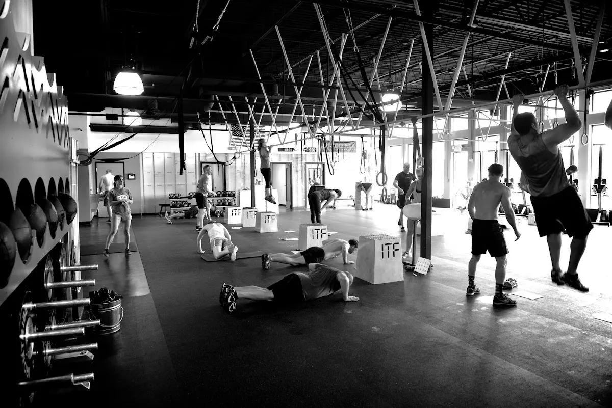 Iron Tribe Fitness