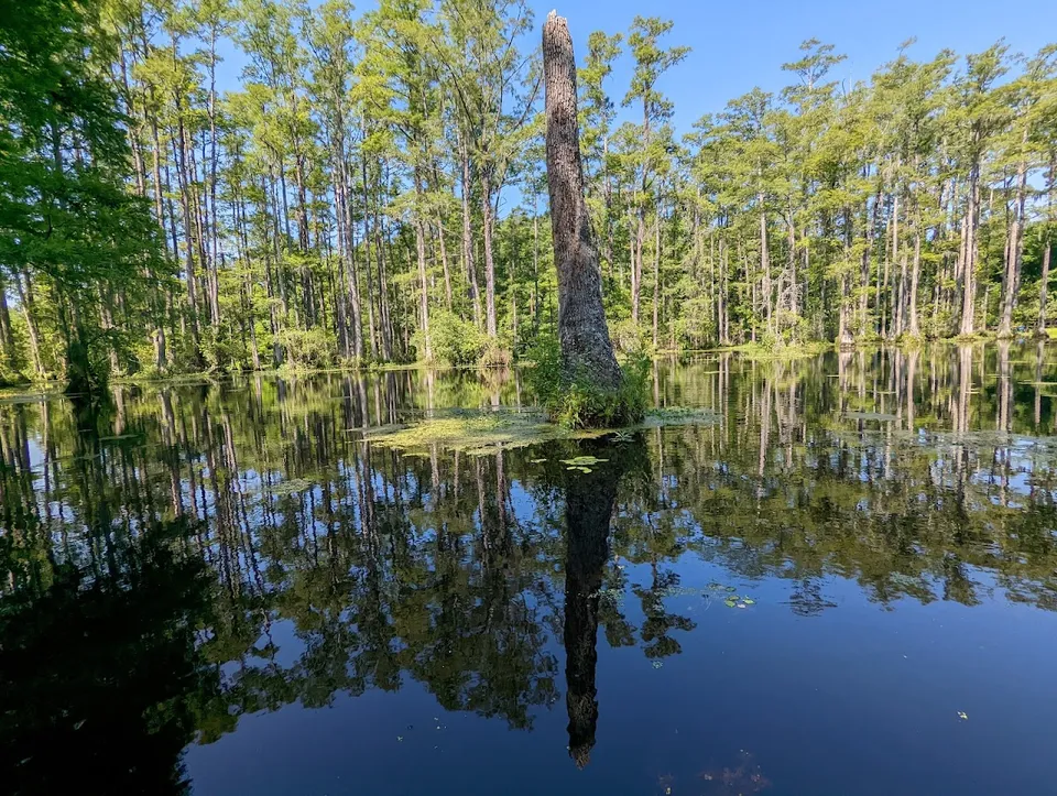 Cypress Gardens