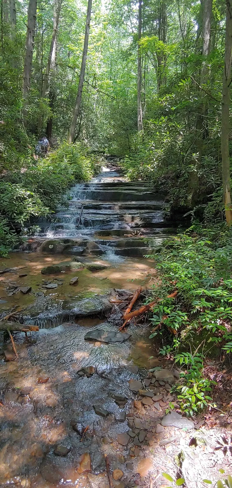 Angel Falls Trailhead