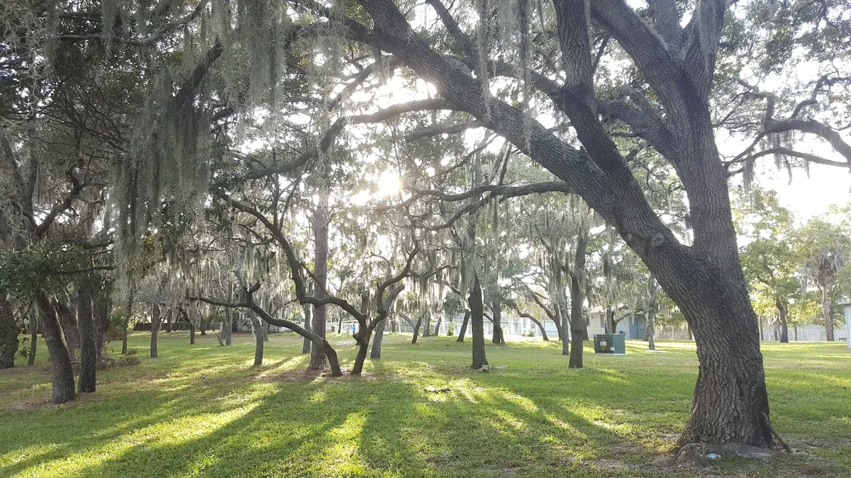 Delta Woods Park