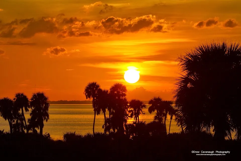Florida Inshore Fishing Charters