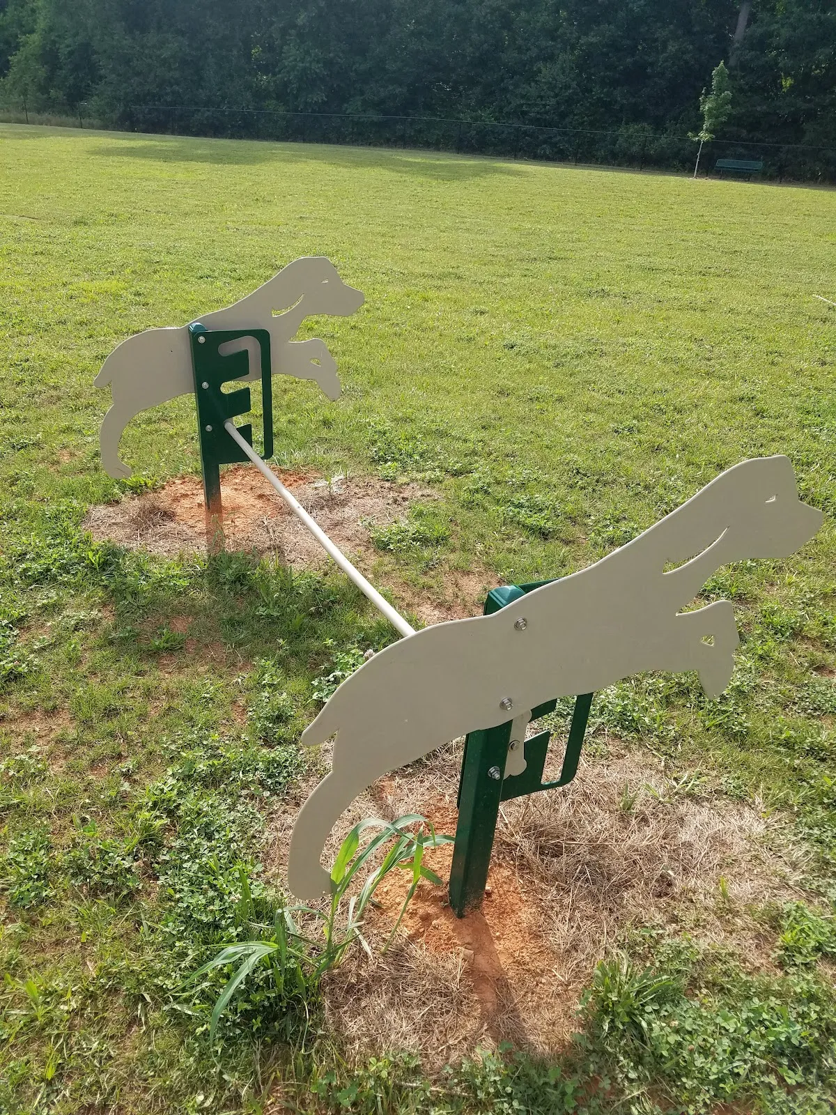 King Dog Park