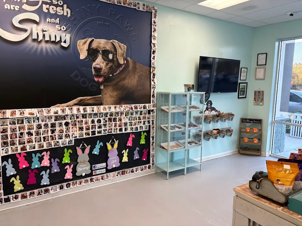 Shiny Paws Dog Wash & Grooming (Glen Lakes)