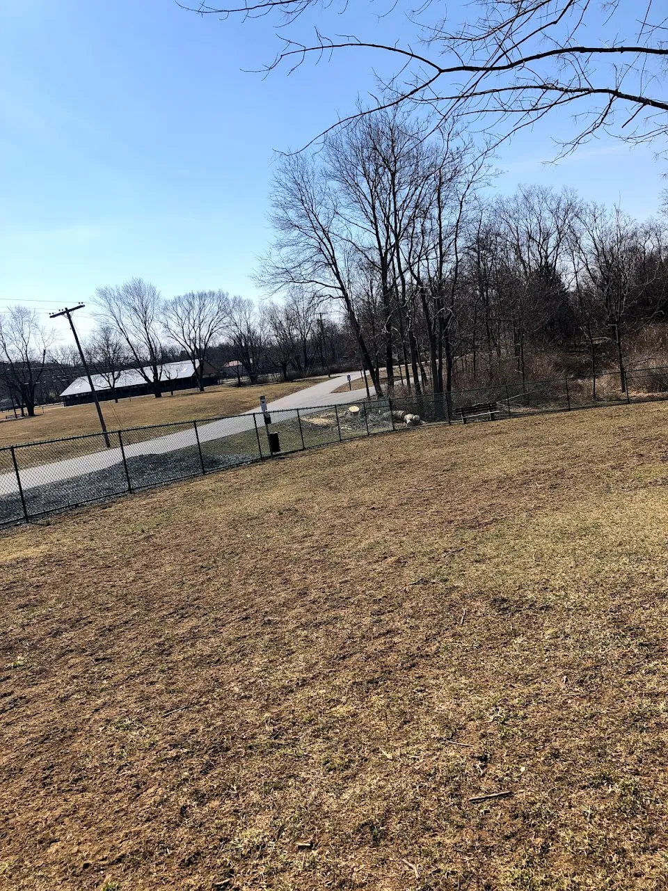 Dog Park at Thomas Bull Memorial Park