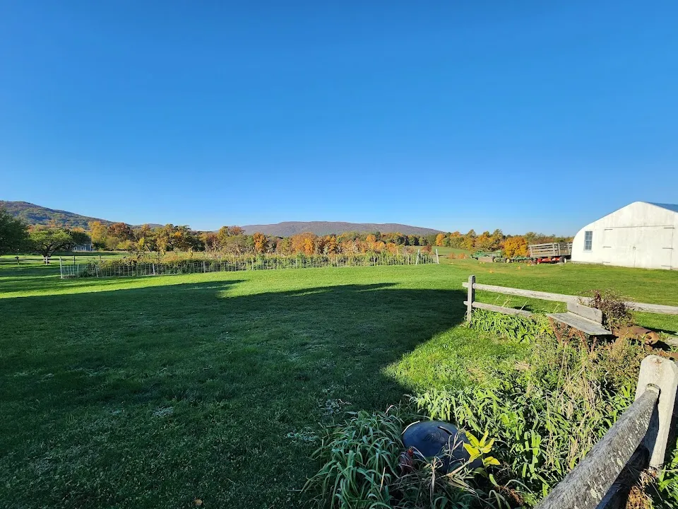Jones Farm