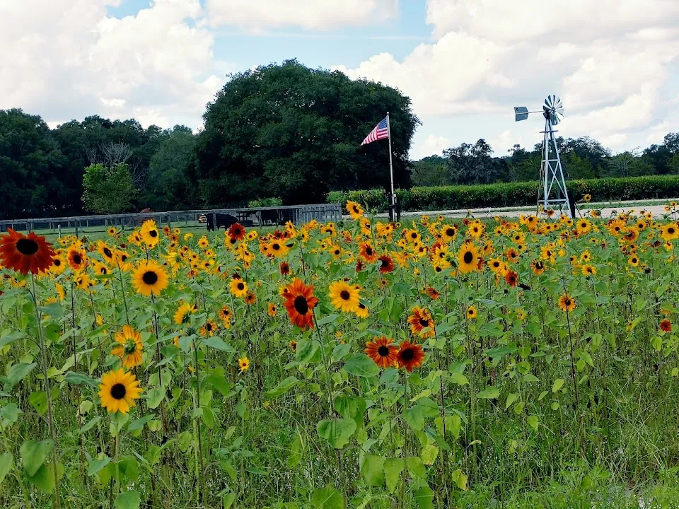Beasley Farm