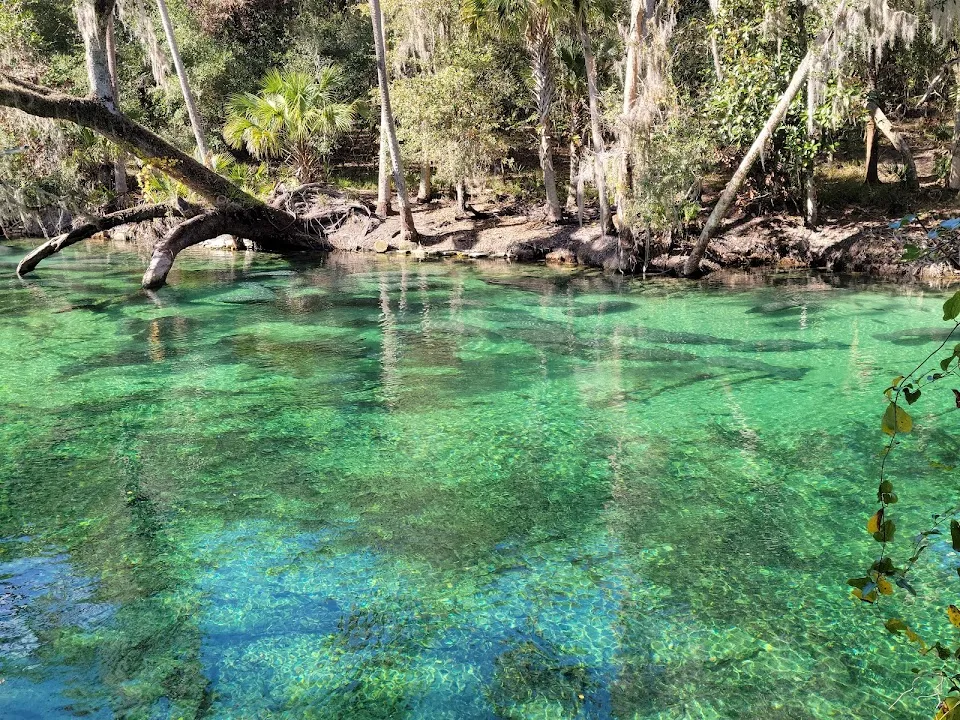 Blue Spring State Park