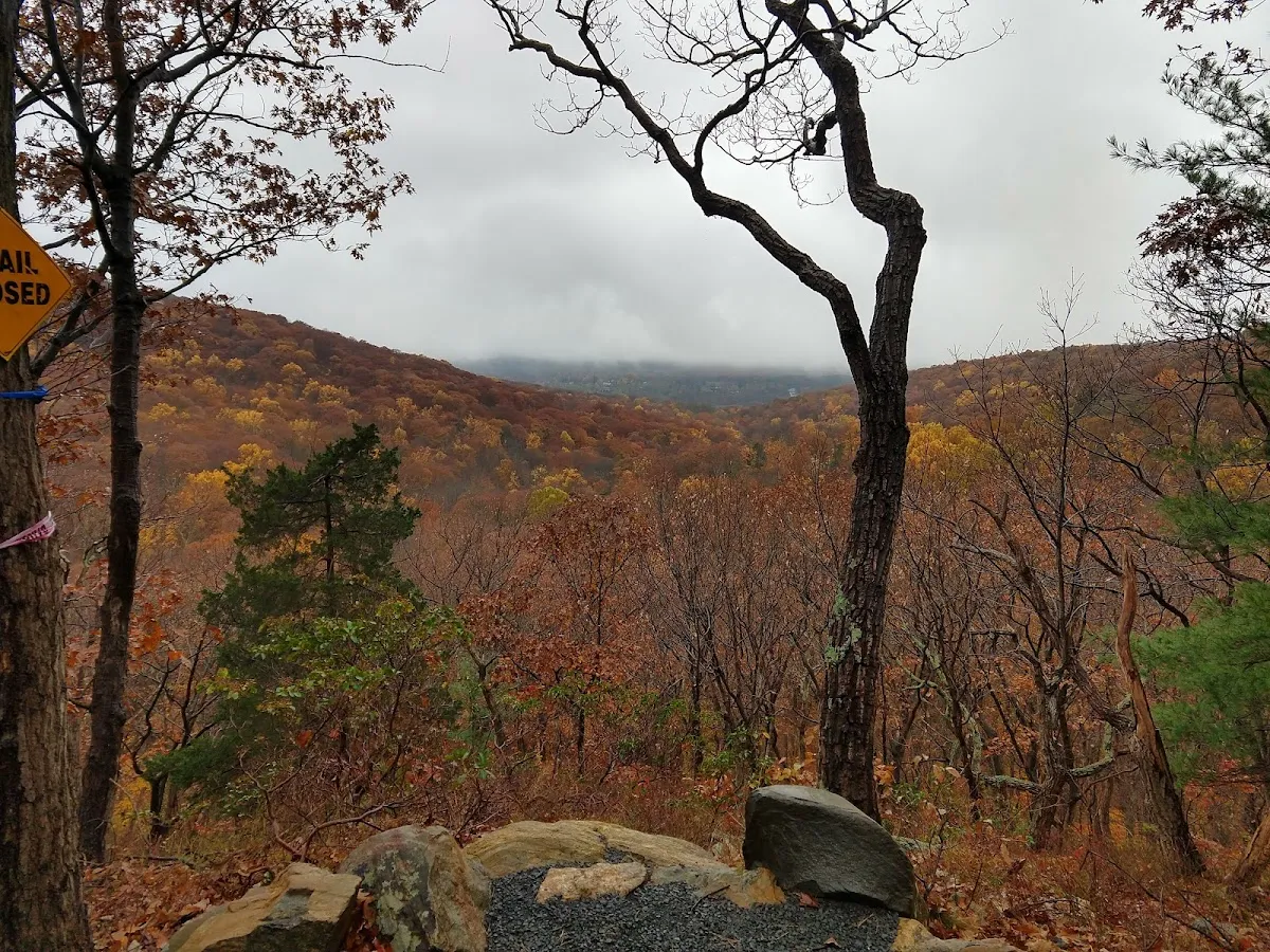 Black Rock Forest Consortium