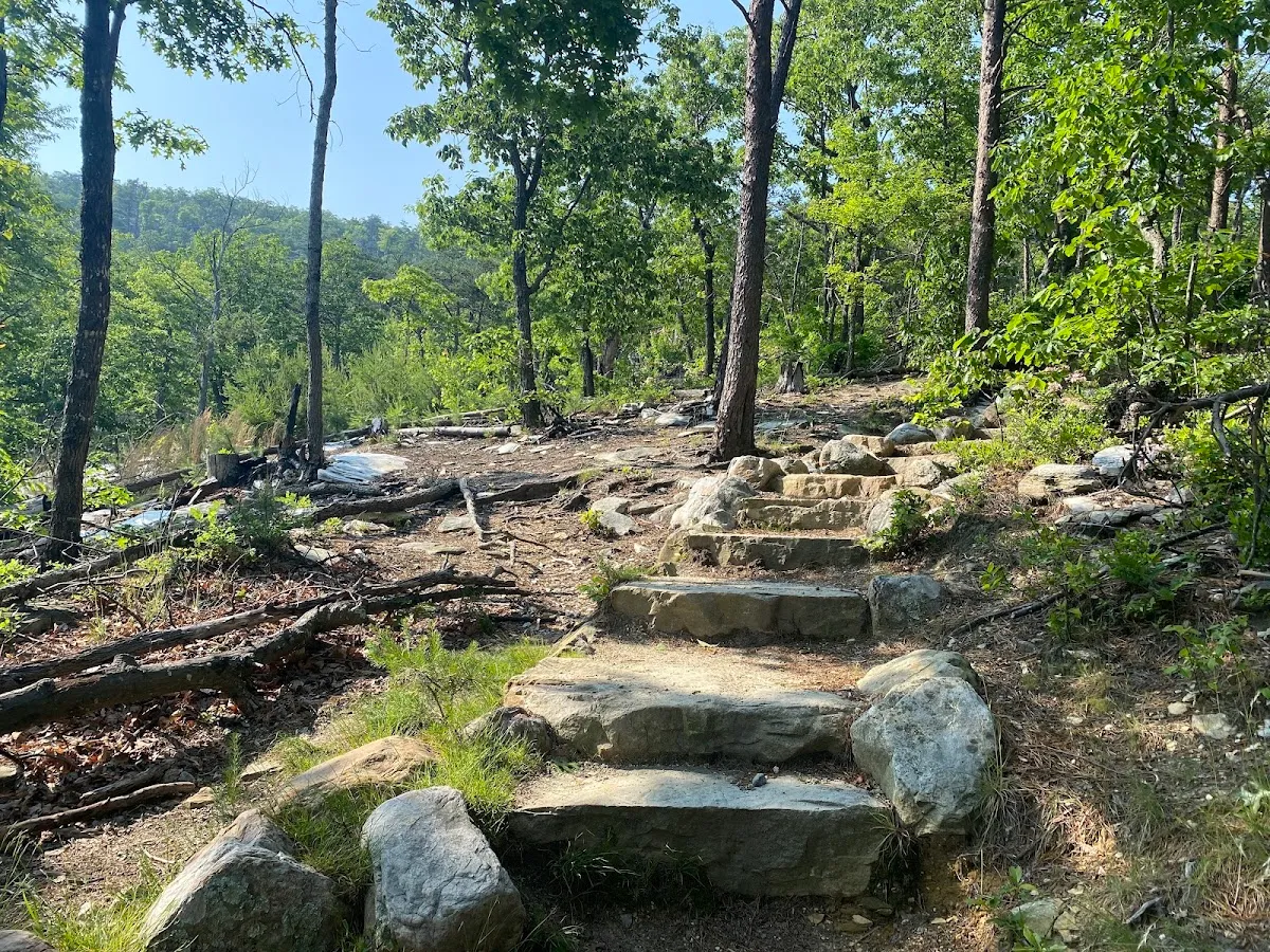 Moore's Knob Observation Tower