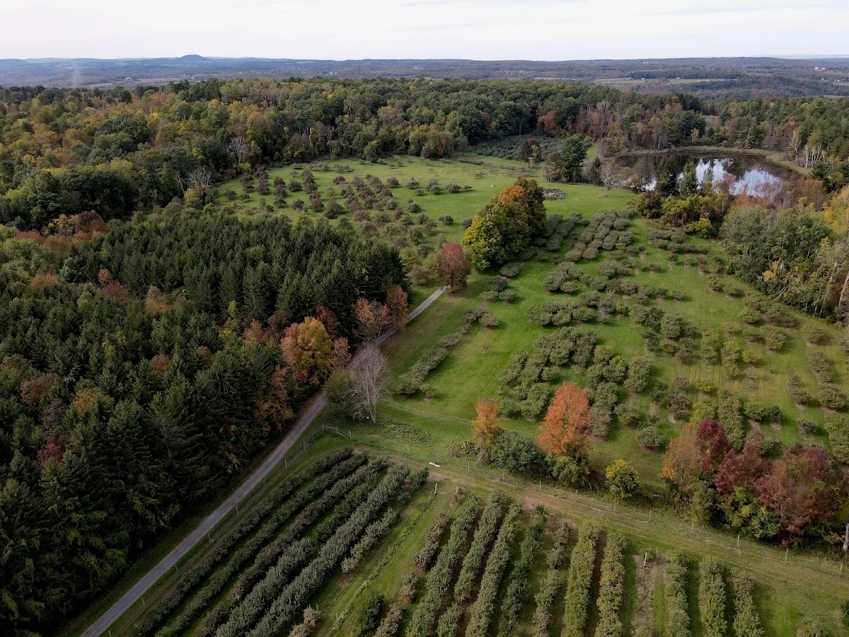 Terrace Mountain Orchard
