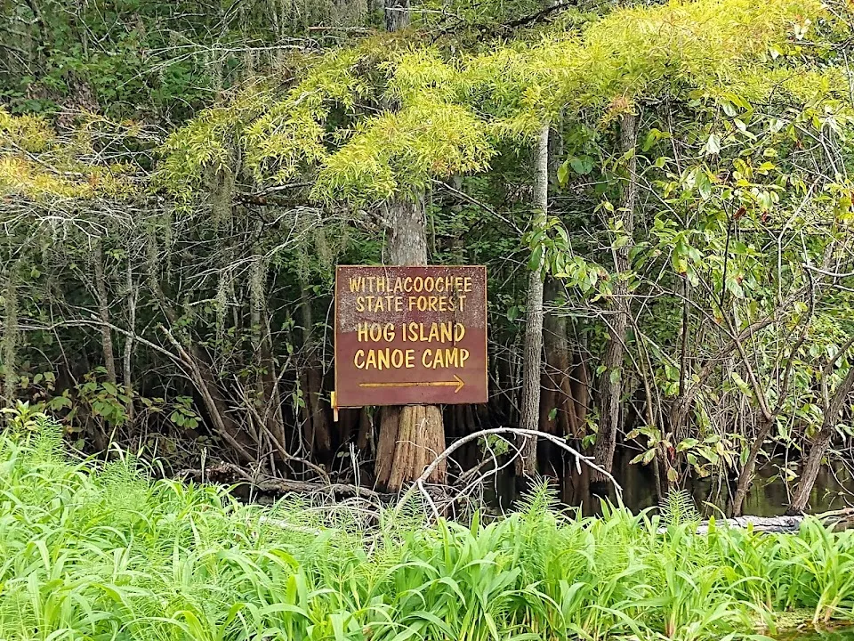Croom Wildlife Management Area