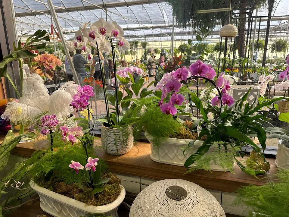 Forest Lake Greenhouses