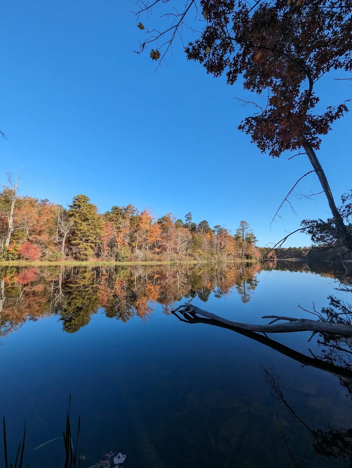 Moore's Wall Loop Trail
