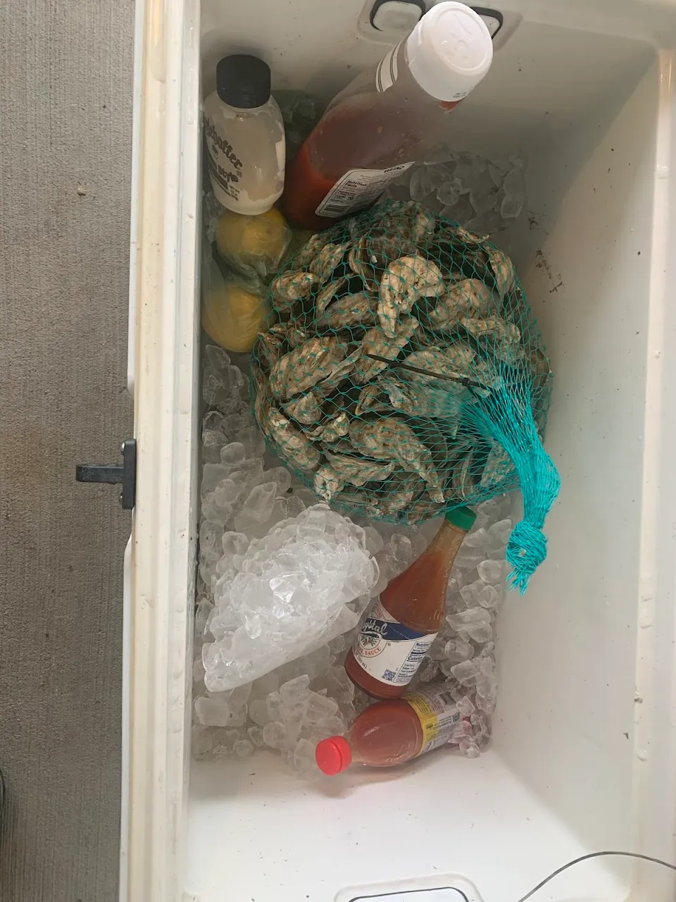 Indian River Oyster Company (IROC Oysters)