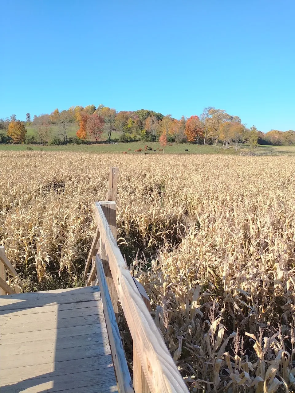 Wright Family Farm