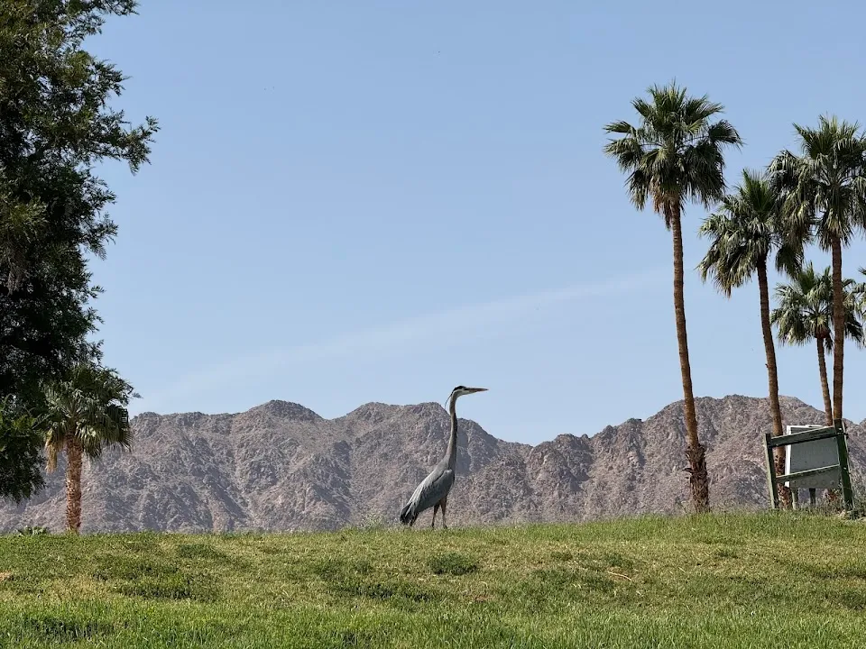 PGA WEST Pete Dye Mountain Course