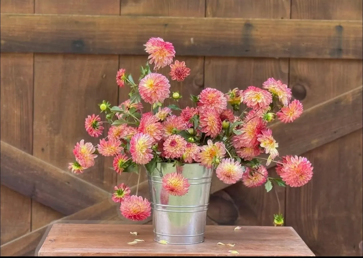 Valley Girl Flower Farm