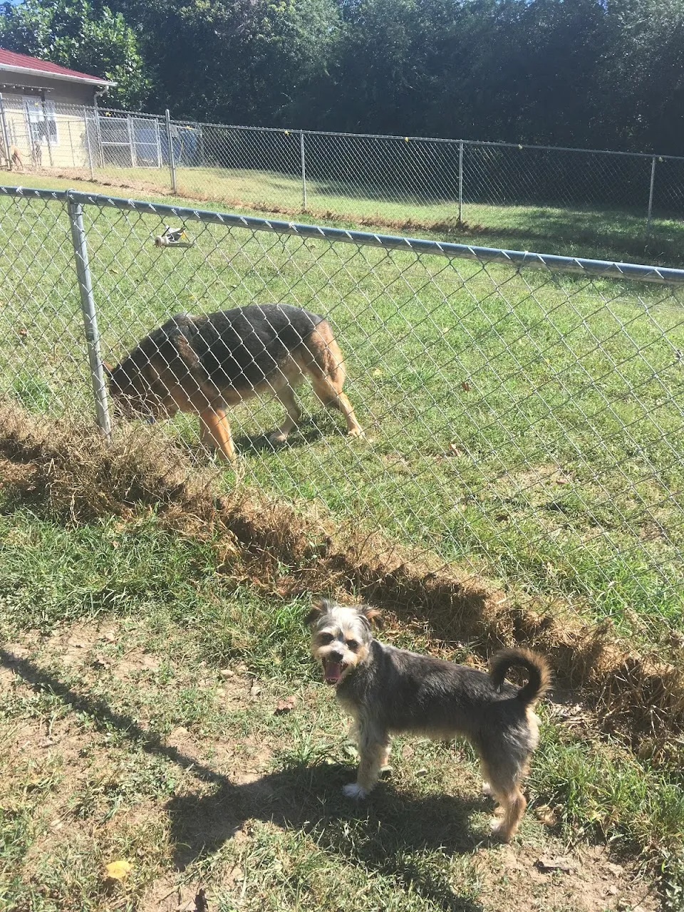 Shady Oaks Boarding Kennel