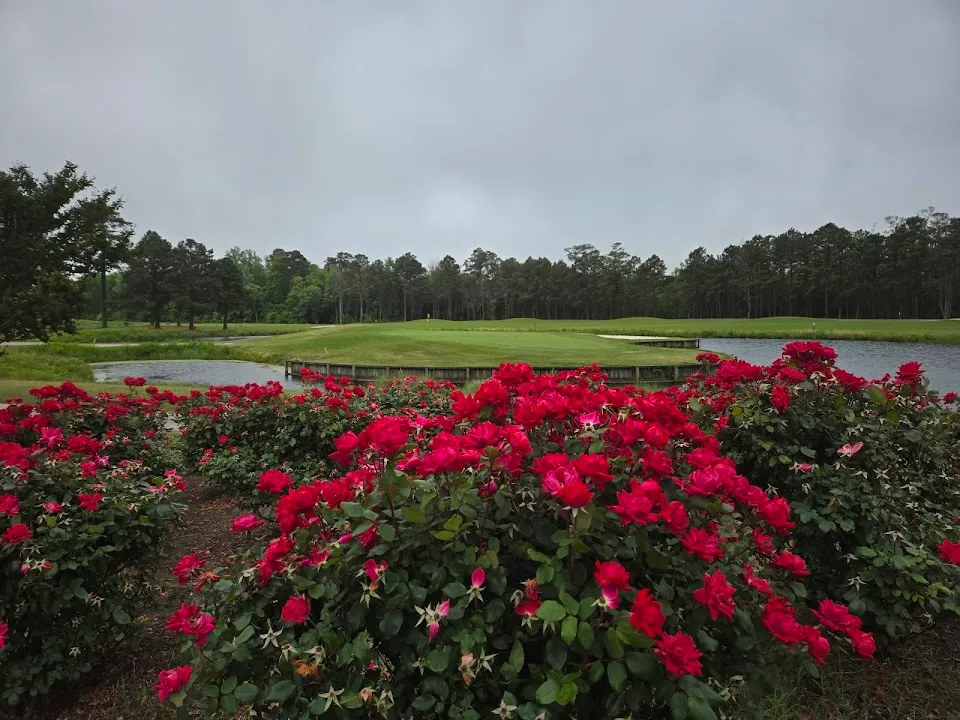 The Carolina Club