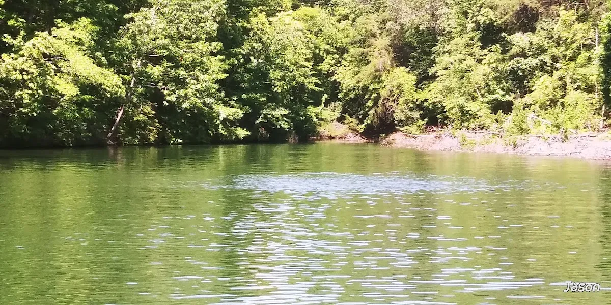 Dan River Access Point & Parking Lot