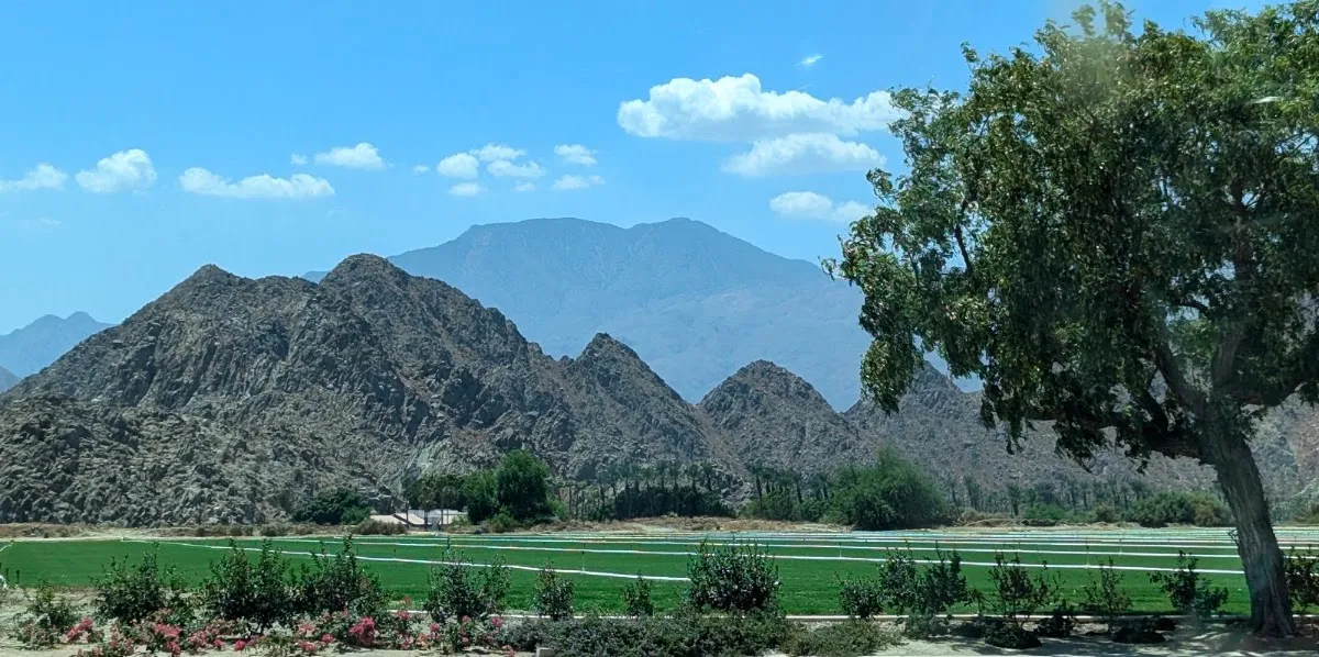 La Quinta Del Oro HOA
