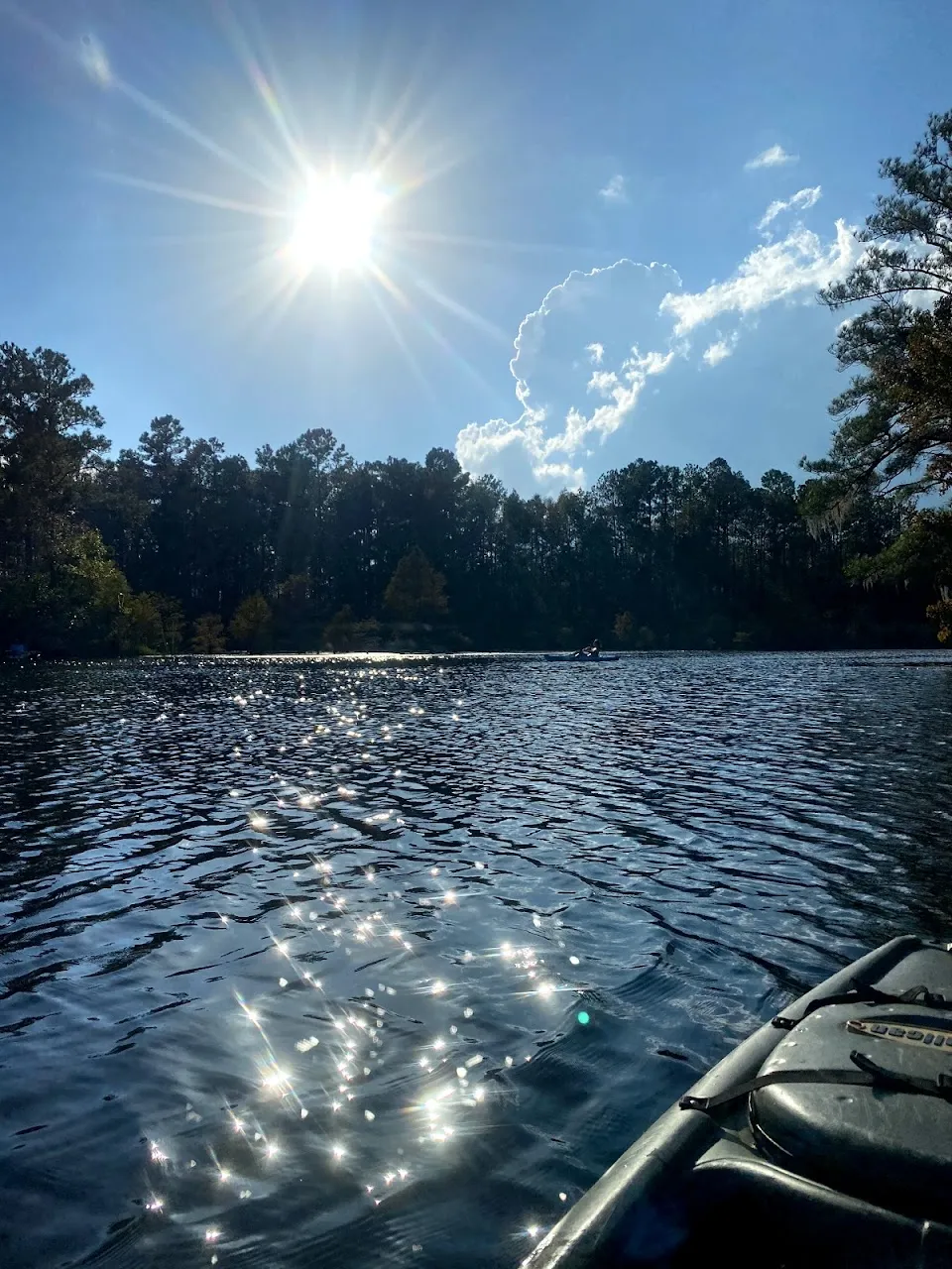 Lake Moultrie Kayak rentals and tours