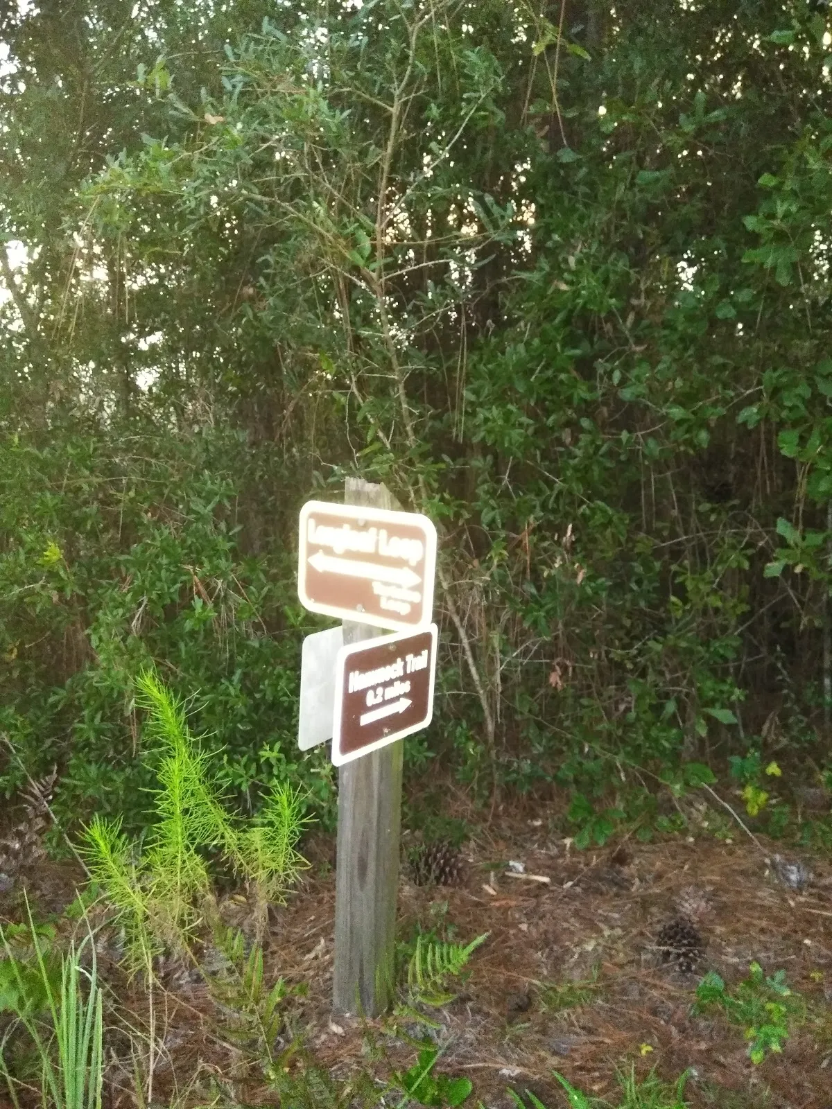 Big Pine Environmental Area