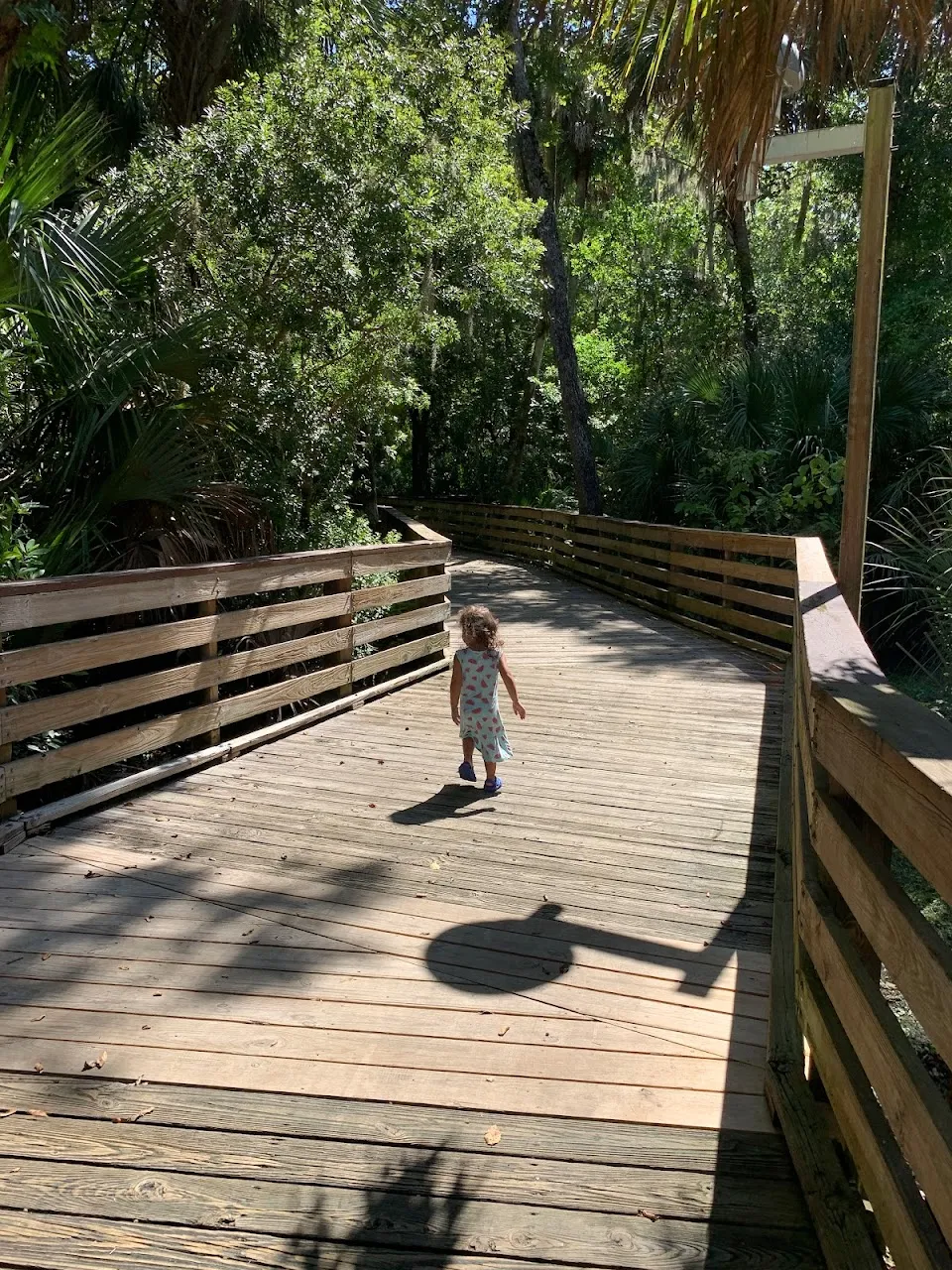 Spruce Creek Park