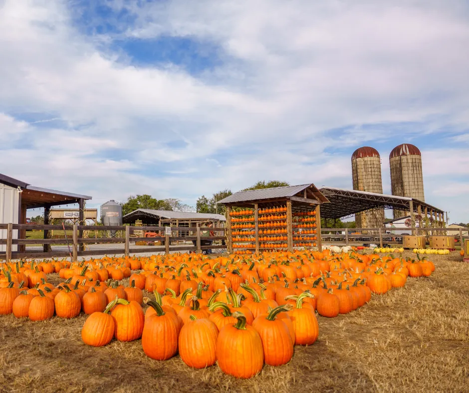 Cagle's Family Farm