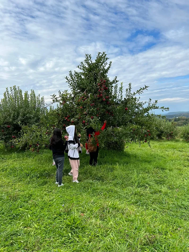 Masker Orchards