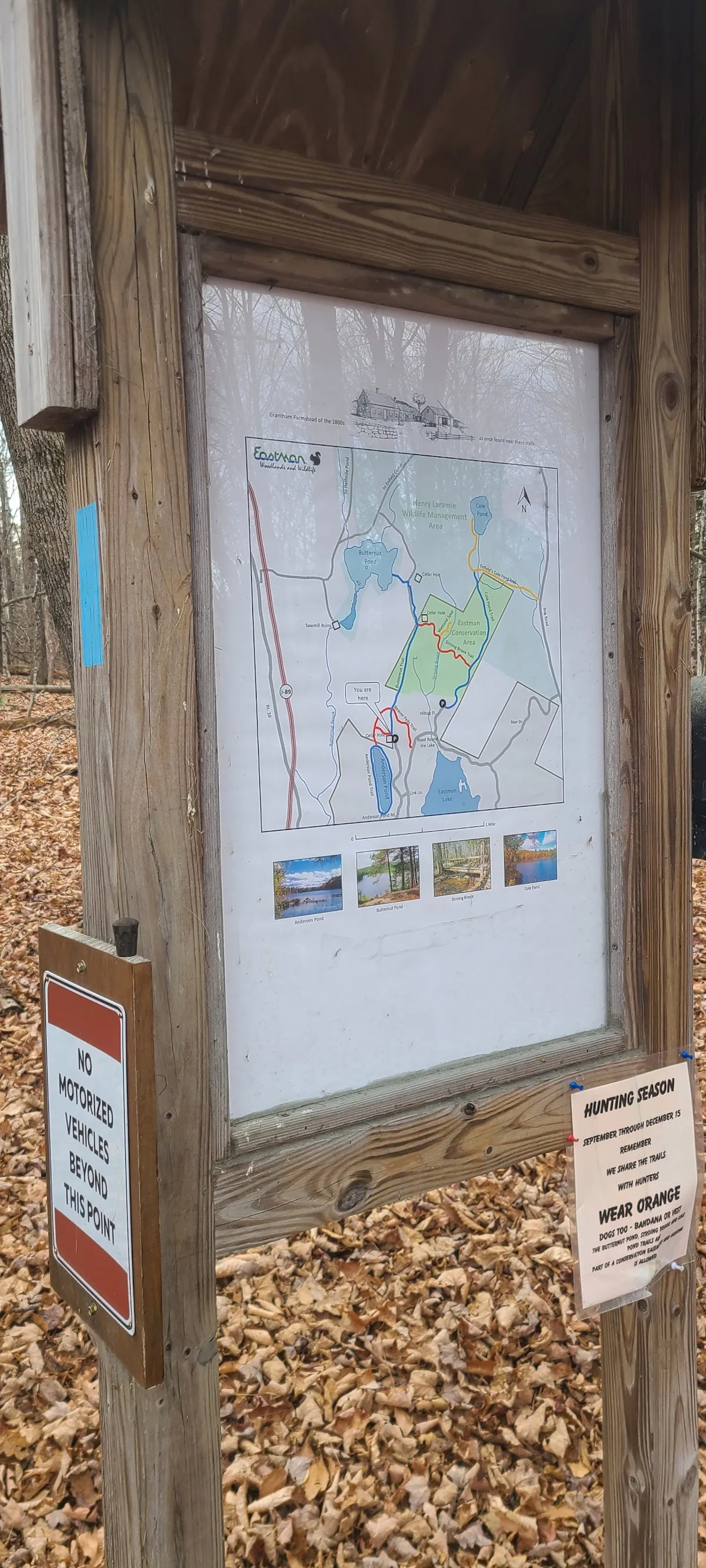 Butternut Pond Trailhead