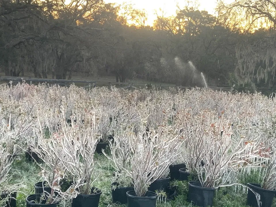 The Hivery And Potager At Heaven On Earth Ranch