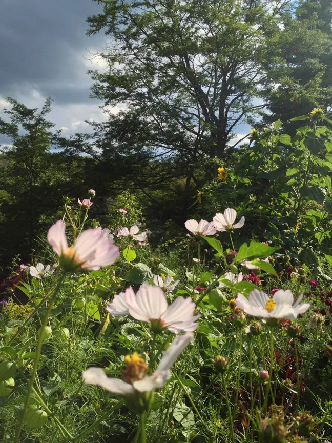 Raven Crest Botanicals