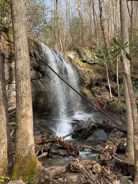 Denton Creek