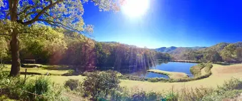 Andy's Trout Farm & Cabins